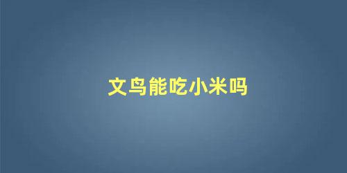 文鸟能吃小米吗