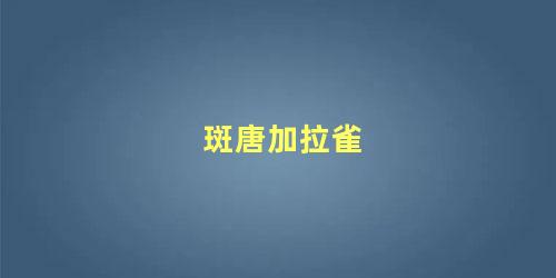 斑唐加拉雀