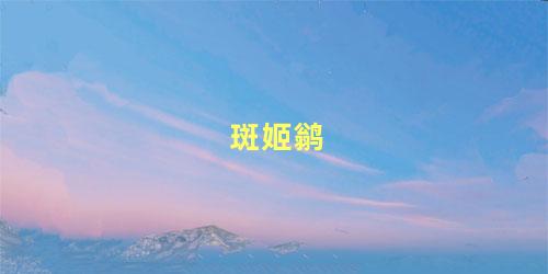 斑姬鹟