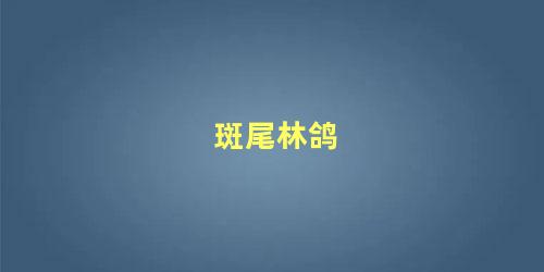 斑尾林鸽