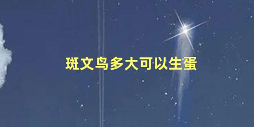 斑文鸟多大可以生蛋