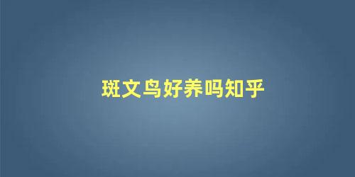 斑文鸟好养吗知乎