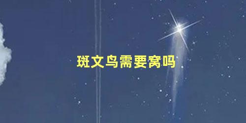 斑文鸟需要窝吗