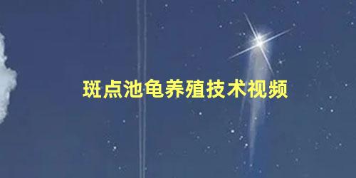 斑点池龟养殖技术视频