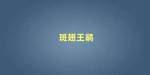 斑翅王鹟