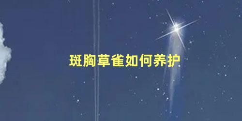 斑胸草雀如何养护