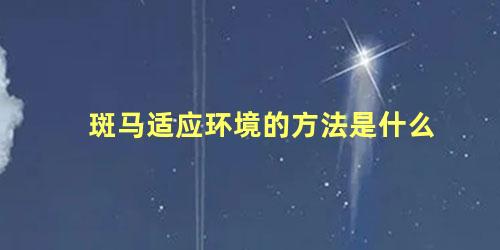斑马适应环境的方法是什么