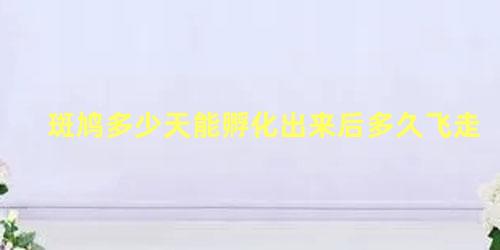 斑鸠多少天能孵化出来后多久飞走