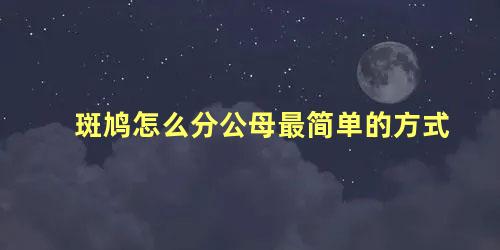 斑鸠怎么分公母最简单的方式