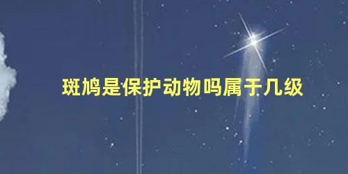 斑鸠是保护动物吗属于几级