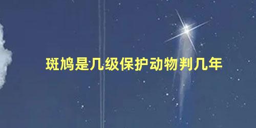 斑鸠是几级保护动物判几年