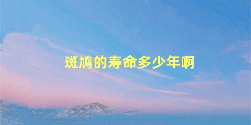 斑鸠的寿命多少年啊