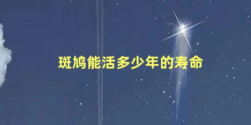 斑鸠能活多少年的寿命