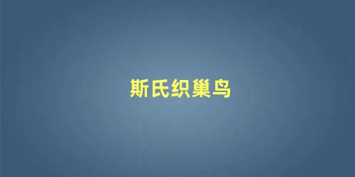 斯氏织巢鸟