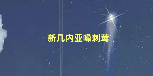 新几内亚噪刺莺