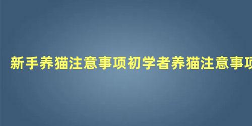 新手养猫注意事项初学者养猫注意事项