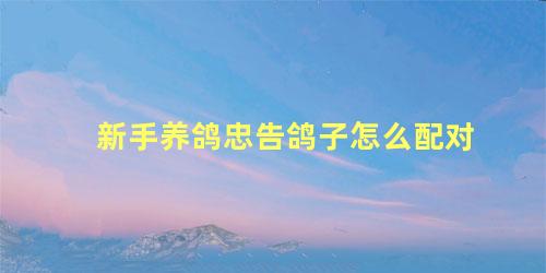 新手养鸽忠告鸽子怎么配对
