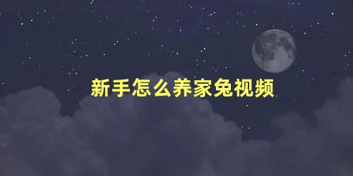 新手怎么养家兔视频