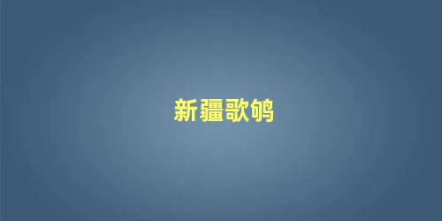 新疆歌鸲