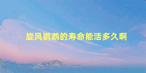 旋风鹦鹉的寿命能活多久啊
