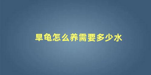 旱龟怎么养需要多少水