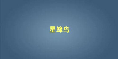 星蜂鸟