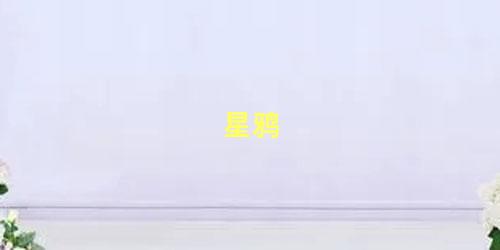 星鸦