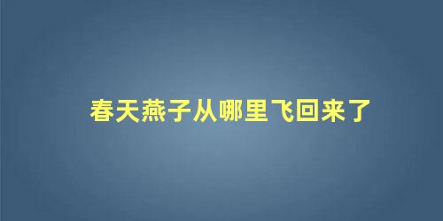 春天燕子从哪里飞回来了