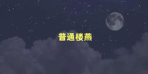 普通楼燕