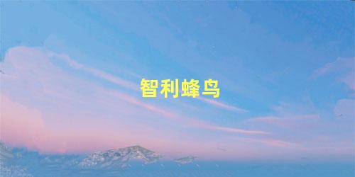 智利蜂鸟