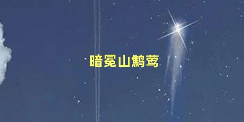 暗冕山鹪莺