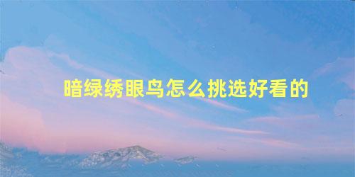 暗绿绣眼鸟怎么挑选好看的