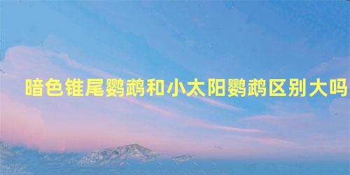暗色锥尾鹦鹉和小太阳鹦鹉区别大吗