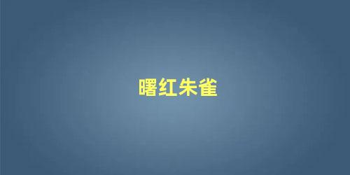 曙红朱雀