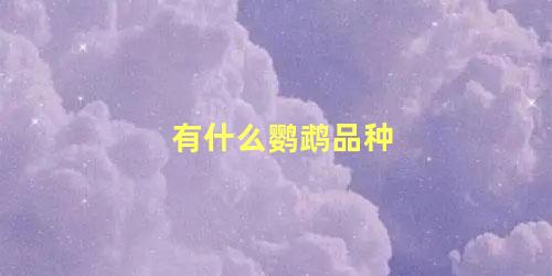 有什么鹦鹉品种