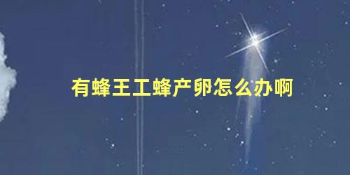 有蜂王工蜂产卵怎么办啊