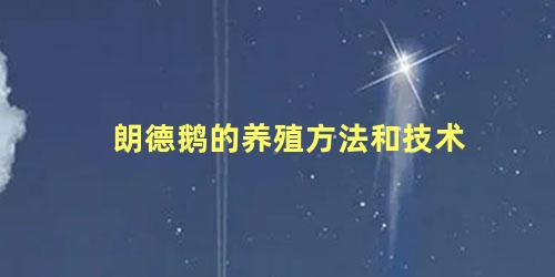朗德鹅的养殖方法和技术
