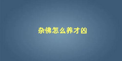 杂佛怎么养才凶