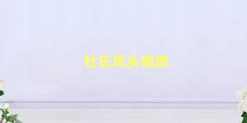 杜氏凤头鹦鹉