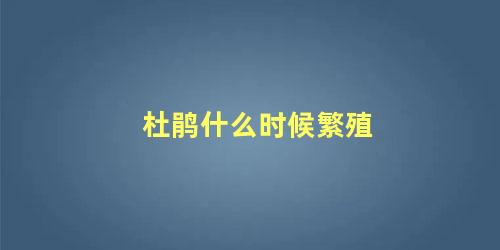 杜鹃什么时候繁殖