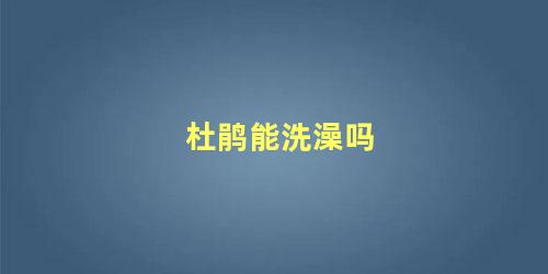 杜鹃能洗澡吗