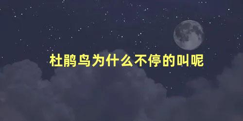 杜鹃鸟为什么不停的叫呢