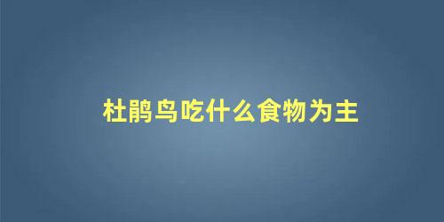 杜鹃鸟吃什么食物为主