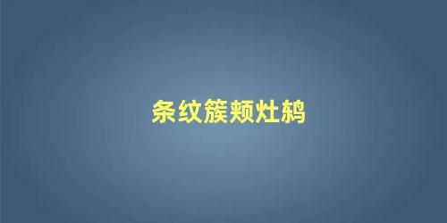 条纹簇颊灶鸫