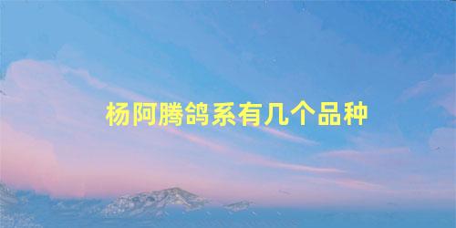 杨阿腾鸽系有几个品种
