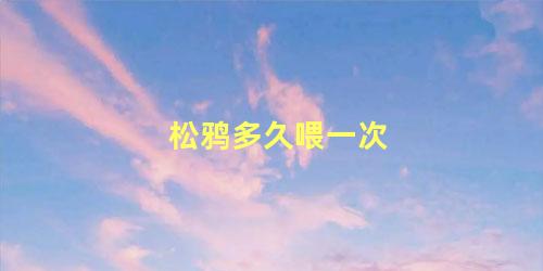 松鸦多久喂一次