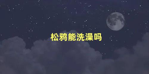 松鸦能洗澡吗