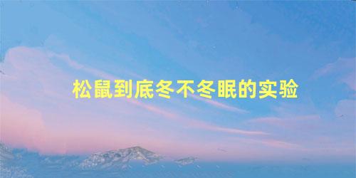 松鼠到底冬不冬眠的实验