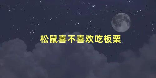 松鼠喜不喜欢吃板栗