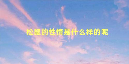 松鼠的性情是什么样的呢